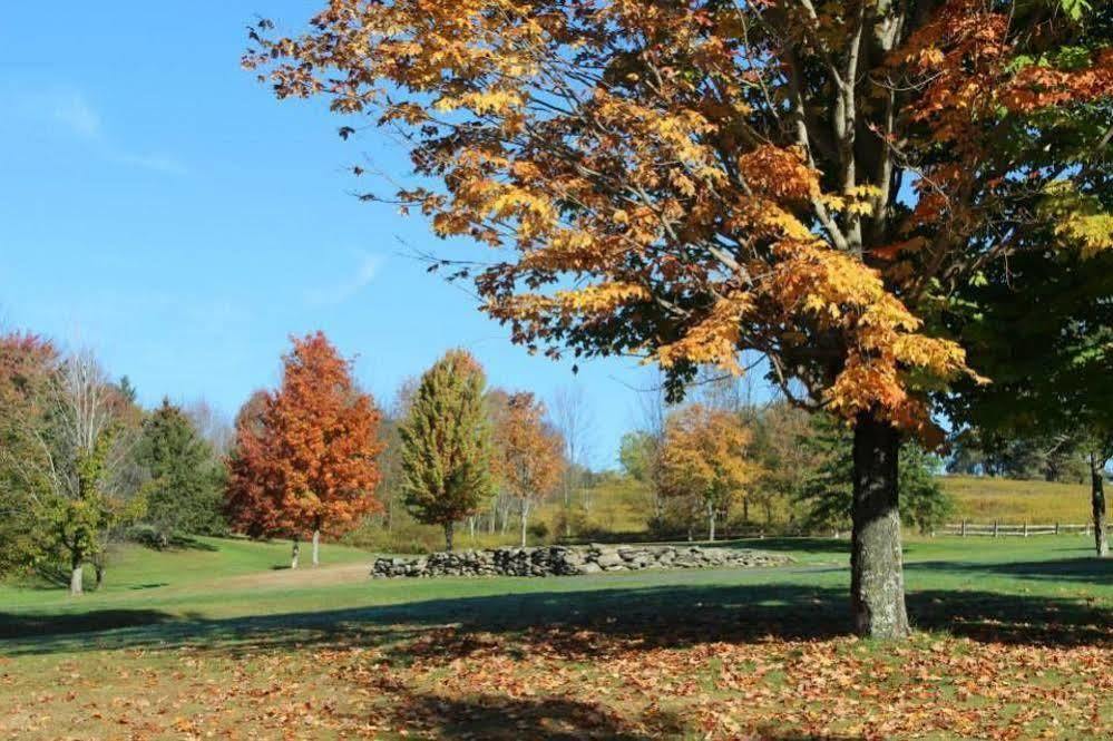 Villa Roma Resort And Conference Center Callicoon Bagian luar foto